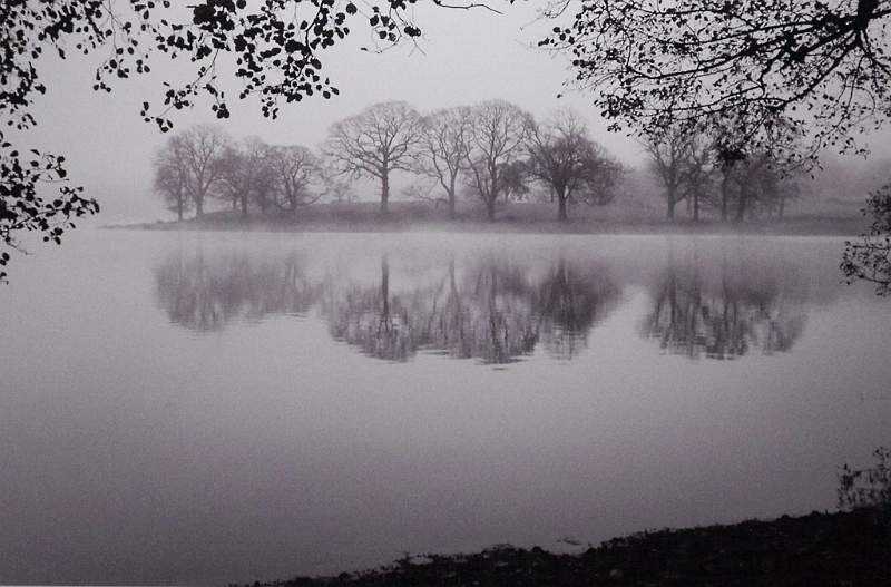 Lakeland Winter Morning - Begin Set Ken Weston 3rd.jpg